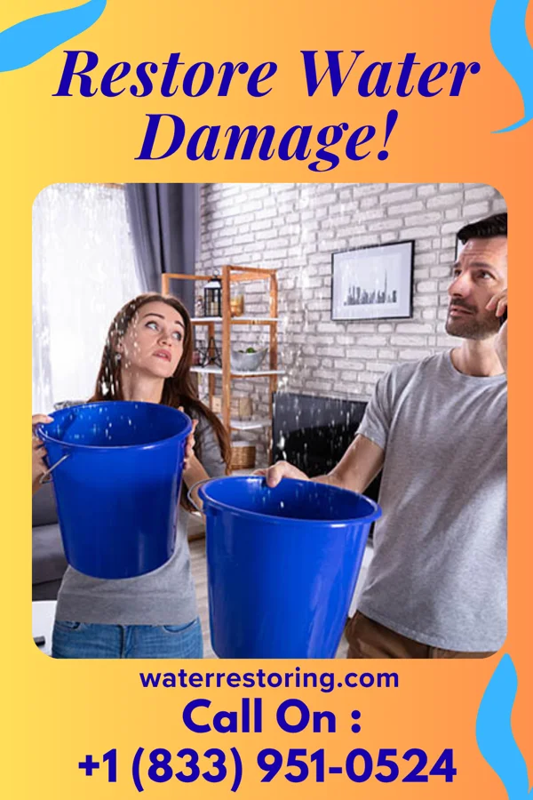 water restoration Trusted Emergency Restoration Brothers Paramount-Long Meadow