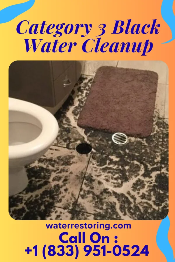Category 3 Black Water Cleanup in Paramount-Long Meadow, MD