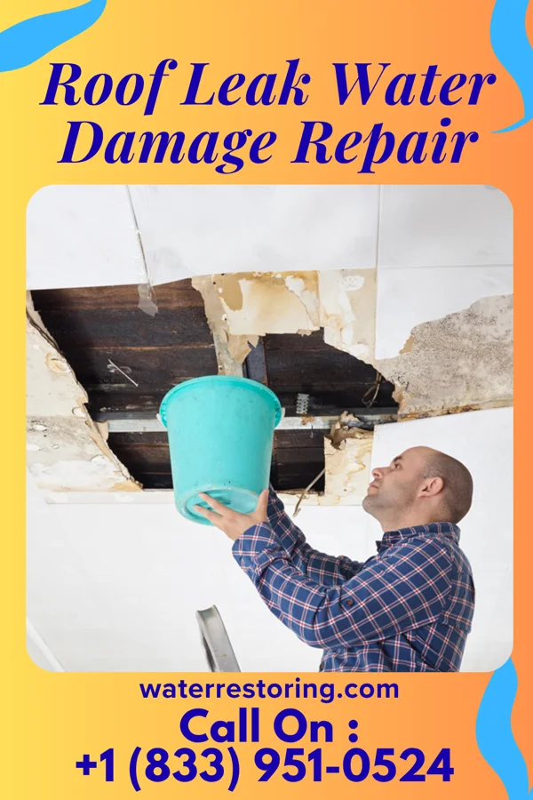 Roof Leak Water Damage Repair in Paramount-Long Meadow, MD