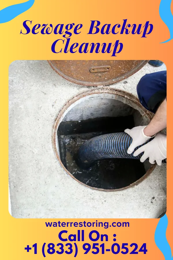 Sewage Backup Cleanup in Paramount-Long Meadow, MD