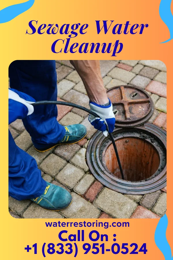 Sewage Water Cleanup in Paramount-Long Meadow, MD
